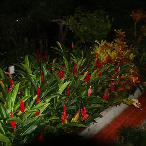 villa-de-reves.comcaribbean.com/
