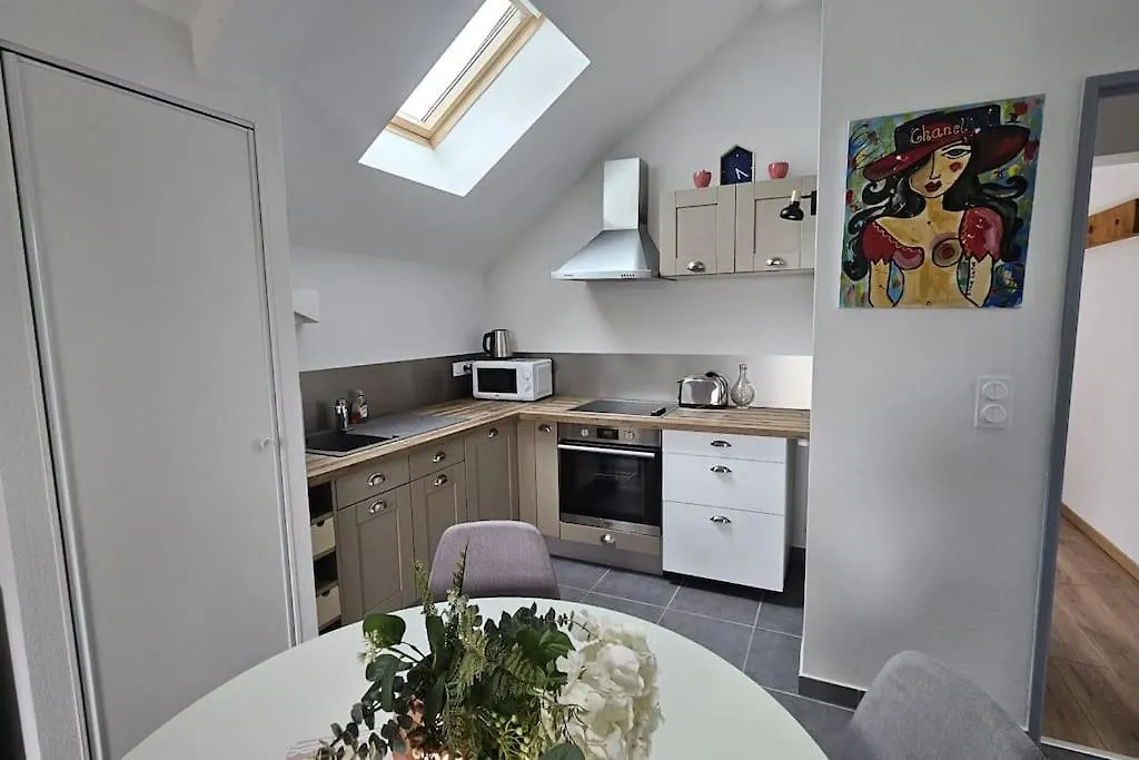 Apartmán La Grande Mouette Thonon-les-Bains